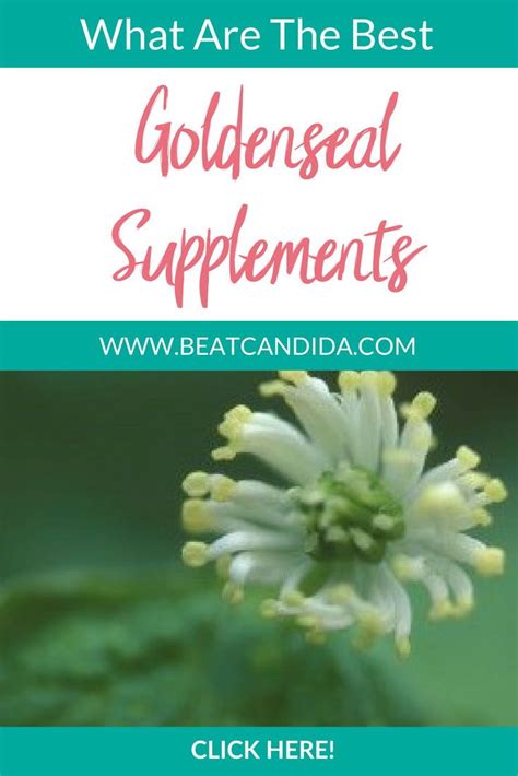 can goldenseal kill you